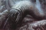 articles9_giger dune progetto 2.jpg